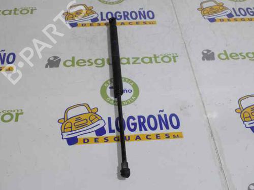 Tailgate lift support BMW 1 (E87) 120 d | BP14121137C138 