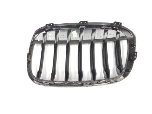 Grille BMW X1 (F48) xDrive 18 d | BP10503739C40 