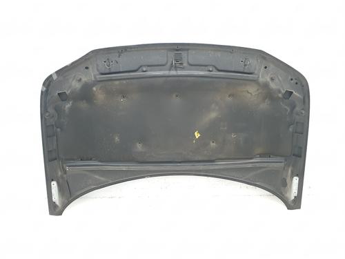 Hood LAND ROVER FREELANDER 2 (L359) 2.2 TD4 4x4 | BP29179102C1 