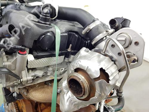 Engine FORD TRANSIT V363 Platform/Chassis (FED, FFD) 2.0 EcoBlue | BP31593823M1