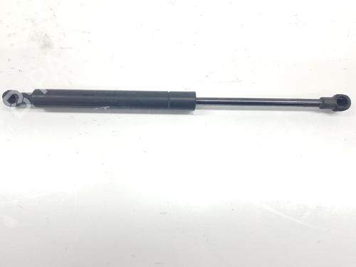 Used Hood lift support BMW 3 (E46) 320 d (150 hp) 14103110