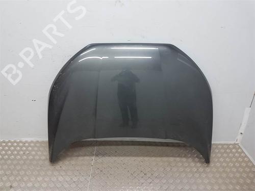 hood-ford-ecosport-2011-2012-2013-2014-2015-2016-2017-2018-2019-2020-2021-2022-38330689 main image
