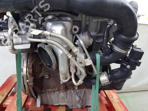 Engine FORD PUMA (J2K, CF7) | BP39191540M1 - Image 11