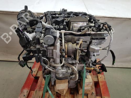 Engine HYUNDAI i20 III (BC3, BI3)  | BP34208484M1  - Image 9
