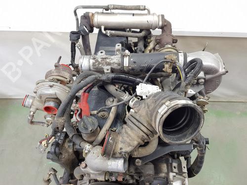 Engine ISUZU D-MAX I (TFR, TFS) 3.0 DiTD 4x4 (TFS77H) | BP36073498M1 - Image 12