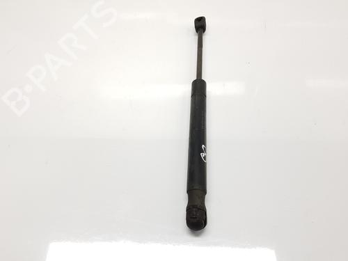 Hood lift support LAND ROVER RANGE ROVER EVOQUE (L538) 2.2 D 4x4 | BP18682843C139 