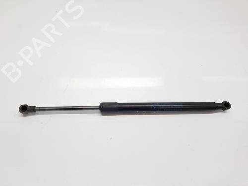 Used Tailgate lift support BMW 2 Coupe (F22, F87) M2 (370 hp) 22553366