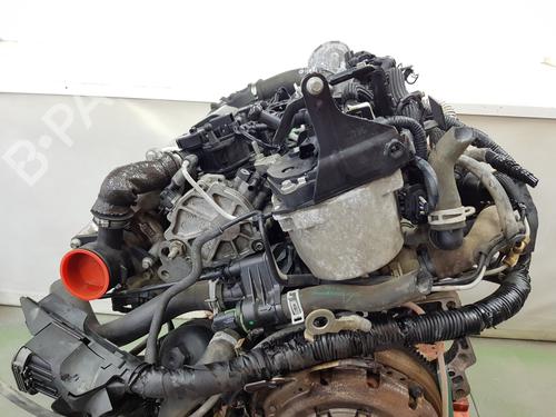 Engine FORD TRANSIT COURIER B460 MPV | BP36382292M1 - Image 4