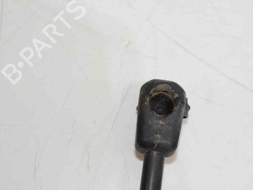 Tailgate lift support MINI MINI (R56) One | BP14068313C138 