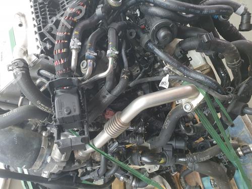 Engine VW TRANSPORTER T6 / CARAVELLE T6 Bus (SGB, SGJ, SHB, SHJ) 2.0 TDI | BP28386916M1 