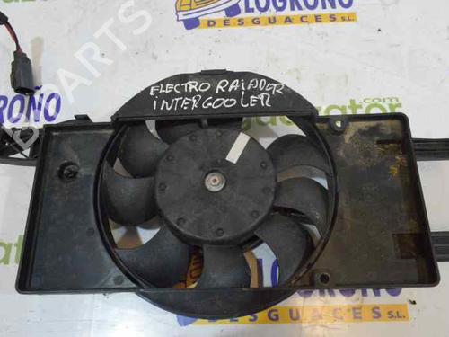Used Other FORD FOCUS III 1.0 EcoBoost (125 hp) 11873826