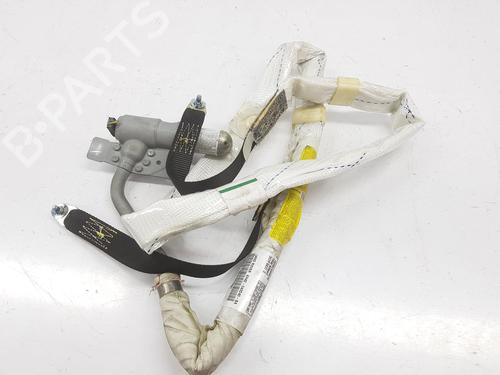 Left curtain airbag LAND ROVER RANGE ROVER III (L322) 3.6 D 4x4 | BP14990421C11 