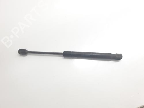 Hood lift support LAND ROVER RANGE ROVER EVOQUE (L538) 2.0 D 4x4 | BP24802264C139 