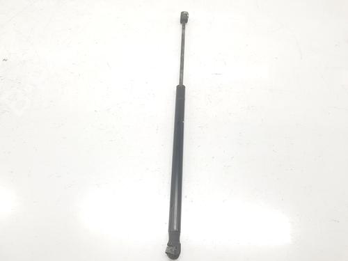 Tailgate lift support MINI MINI COUNTRYMAN (R60) Cooper D ALL4 | BP14101350C138