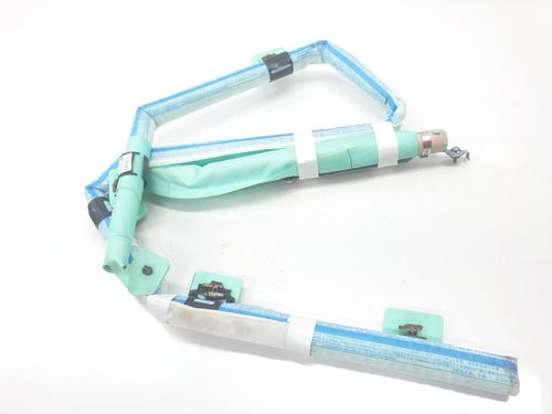 Right curtain airbag CUPRA LEON (KL1, KU1, KUG)  | BP29358580C12 