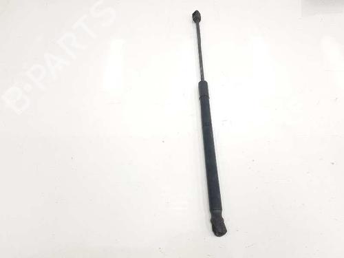 Hood lift support AUDI Q7 (4LB) 3.0 TDI quattro | BP14085040C139 