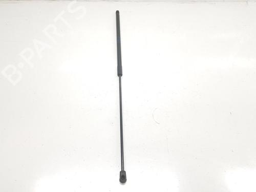 Hood lift support AUDI A4 B8 (8K2) 2.0 TDI | BP14091376C139 