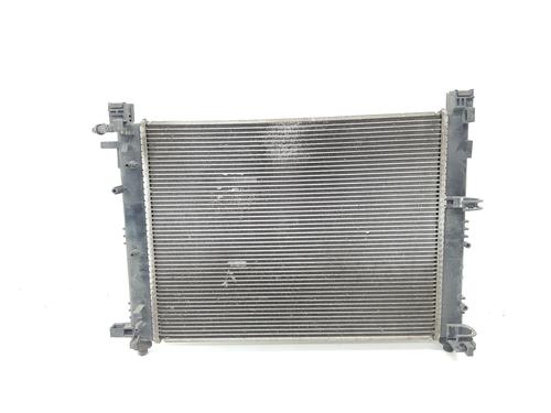 Water radiator DACIA SANDERO II | BP36781974M31 - Image 3