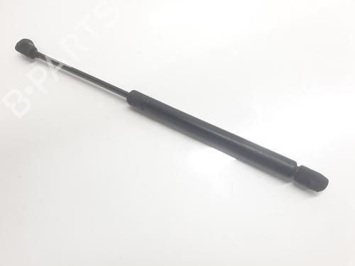 Tailgate lift support AUDI TT (8N3) 1.8 T quattro | BP28103173C138 