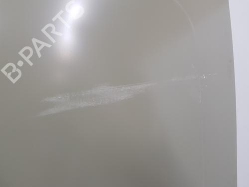 Left rear door RENAULT TRAFIC III Van (FG_)  | BP16198296C4 
