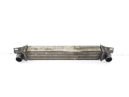 Used Intercooler PEUGEOT BIPPER Tepee 1.4 HDi (68 hp) 12848350