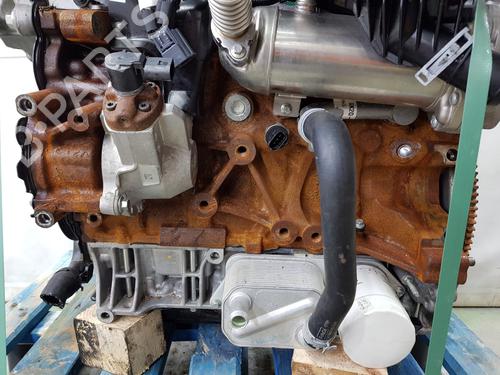 Engine FORD TRANSIT V363 Platform/Chassis (FED, FFD) 2.0 EcoBlue | BP31593823M1