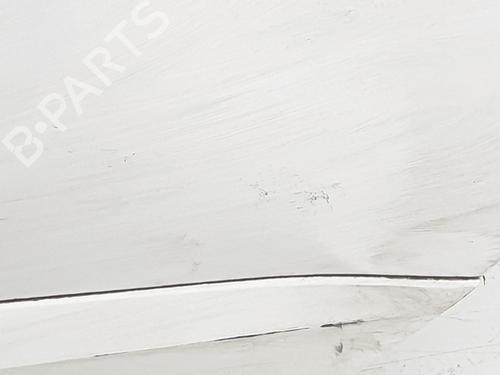 Left rear door RENAULT KOLEOS I (HY_) 2.0 dCi (HY0K) | BP1931849C4 