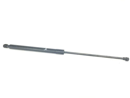 tailgate-lift-support-renault-arkana-i-lcm_-ldn_-2019-34699121 main image