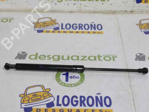 Hood lift support BMW 1 (E87) 118 d | BP14100244C139 