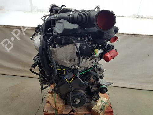 Engine OPEL MOVANO B Platform/Chassis (X62)  | BP33927288M1  - Image 10