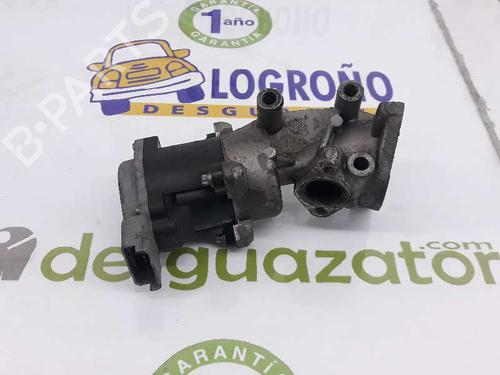 Used Egr LAND ROVER RANGE ROVER SPORT I (L320) 2.7 D 4x4 (190 hp) 1920265