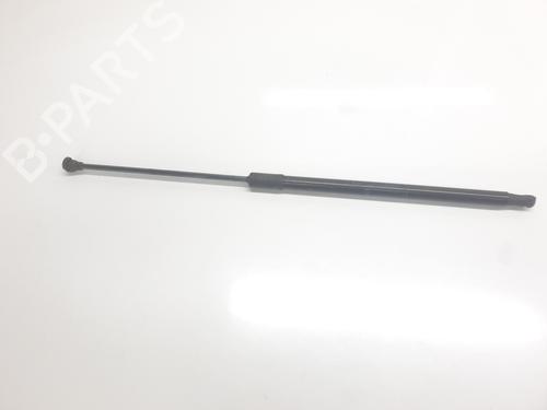 hood-lift-support-dacia-duster-hm_-2017-33274525 main image