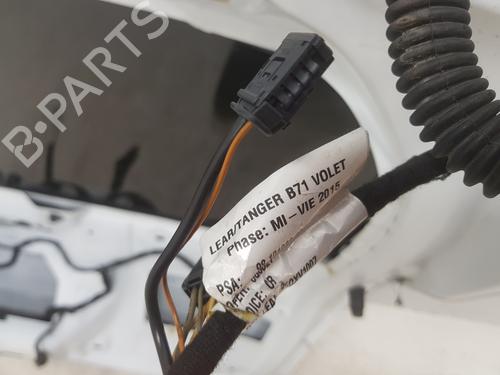 Tailgate CITROËN C4 II (NC_) 1.6 BlueHDi 100 | BP32234899C6