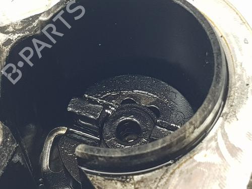 Vacuum pump RENAULT KADJAR (HA_, HL_)  | BP23243201M80 