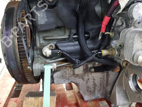 Engine FIAT TIPO Hatchback (356_, 357_) 1.6 D (356HXG1B, 356HXG11) | BP32453377M1  - Image 6