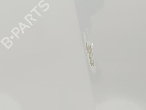 Hood RENAULT TRAFIC III Van (FG_) 1.6 dCi 140 (FGMA, FGMC) | BP29942152C1