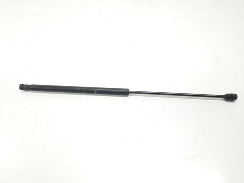Used Hood lift support SEAT TOLEDO II (1M2) 1.9 TDI (110 hp) 15820809