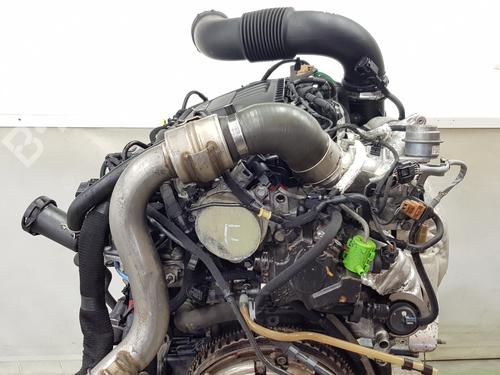 Engine OPEL VIVARO B Bus (X82) | BP36678192M1 - Image 6