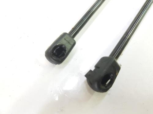 Hood lift support BMW X1 (F48) xDrive 18 d | BP14099411C139 