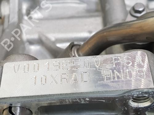 Engine FIAT 600e / 600 (365_, 364_)  | BP32072537M1 