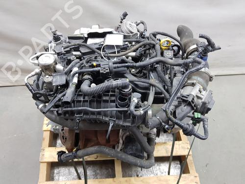 Engine FORD FIESTA VI (CB1, CCN)  | BP26155610M1 