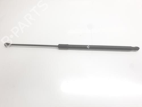 hood-lift-support-dacia-duster-pym_-pyn_-2023-34698777 main image
