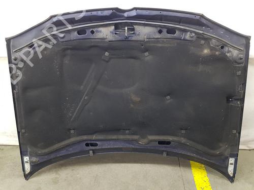 Hood VW GOLF IV (1J1) 1.6 | BP9520693C1 