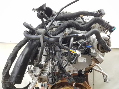 Engine FORD TRANSIT V363 Platform/Chassis (FED, FFD) 2.0 EcoBlue | BP31840493M1 