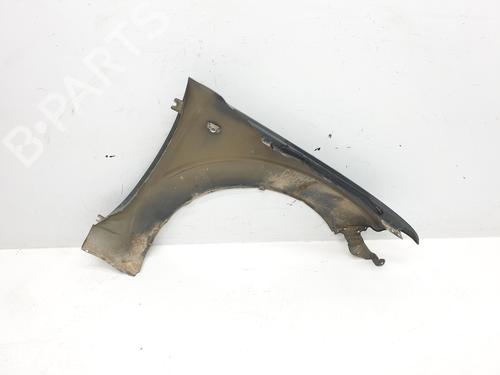 Left front fenders NISSAN PATHFINDER III (R51) 2.5 dCi | BP25849087C41