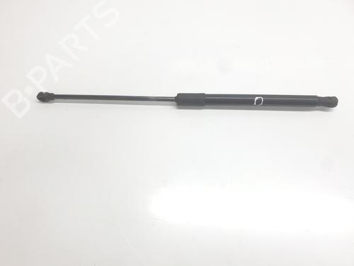 gasfjeder-motorhjelm-renault-kangoo-iii-mpv-2021-32139781 main image