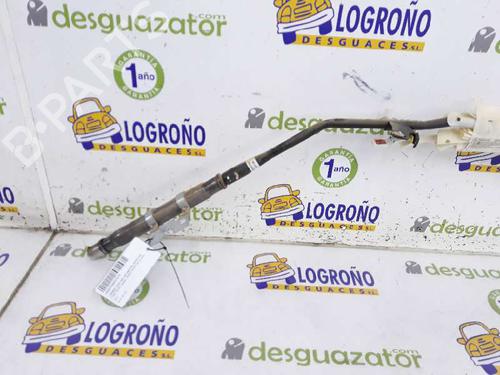 Right curtain airbag LAND ROVER RANGE ROVER SPORT I (L320) 3.6 D 4x4 | BP2676753C12 