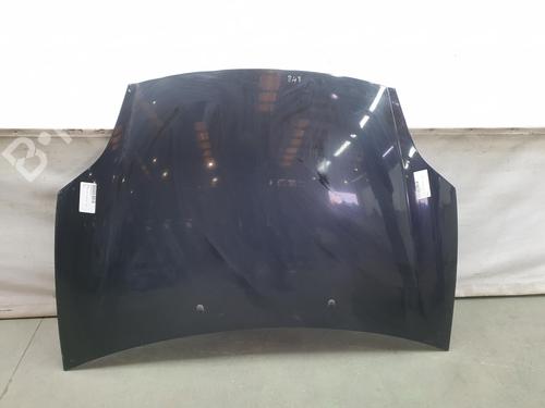 Hood FIAT BRAVO II (198_) 1.4 (198AXA1B) | BP9499739C1 
