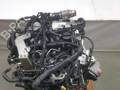 Motor NISSAN NAVARA NP300 (D40) 2.5 dCi 4WD (171 hp) 29630701