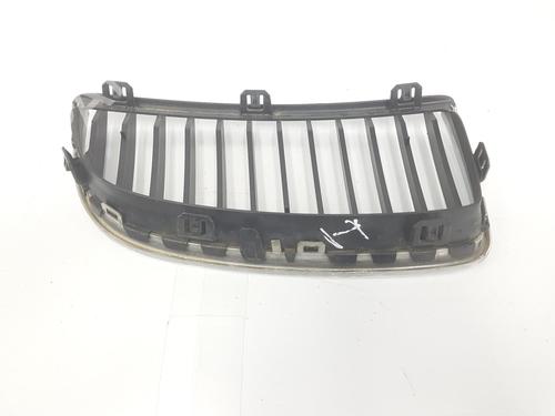 Grille BMW 3 (E90) 320 i | BP10991254C40 